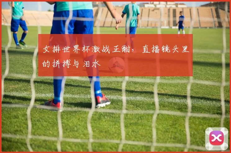 女排世界杯激战正酣，直播镜头里的拼搏与泪水