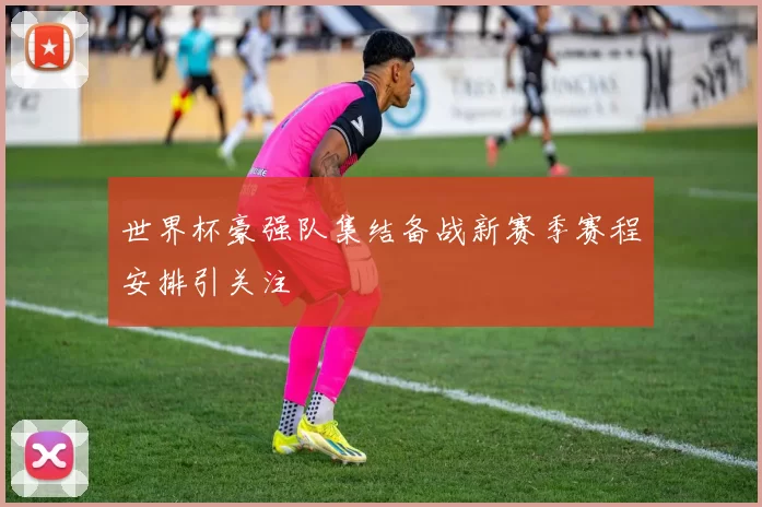 世界杯豪强队集结备战新赛季赛程安排引关注
