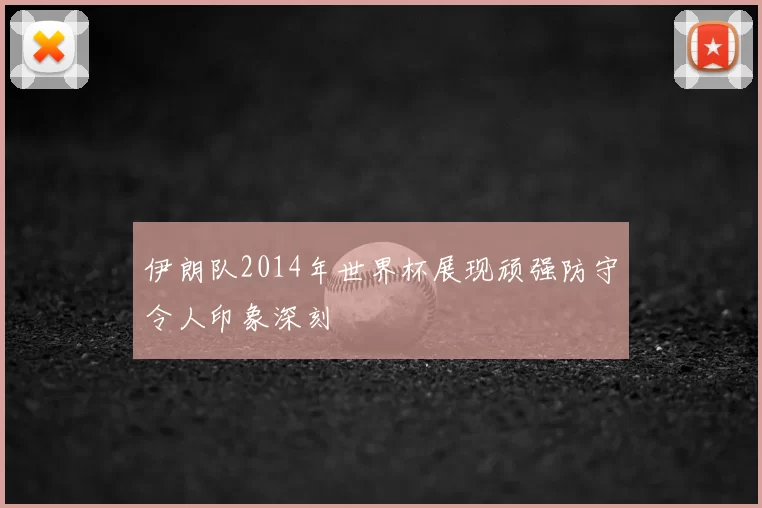 伊朗队2014年世界杯展现顽强防守令人印象深刻