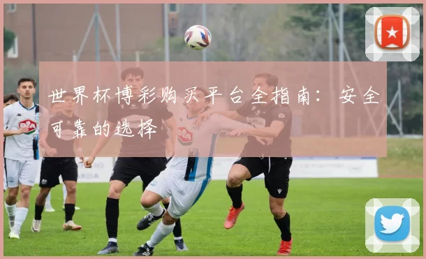 世界杯博彩购买平台全指南：安全可靠的选择
