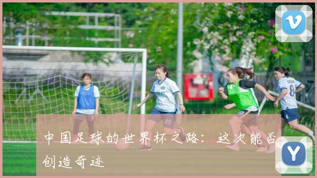 中国足球的世界杯之路：这次能否创造奇迹