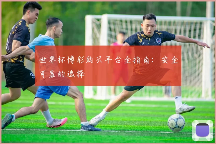 世界杯博彩购买平台全指南：安全可靠的选择