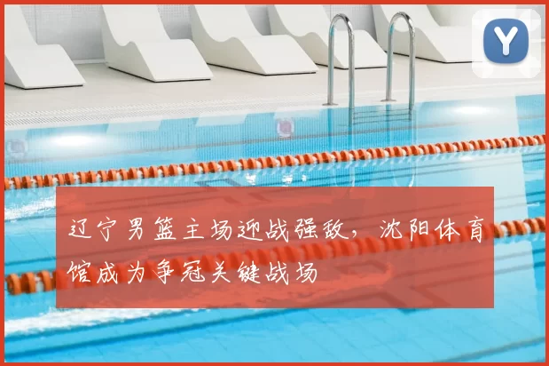 辽宁男篮主场迎战强敌，沈阳体育馆成为争冠关键战场