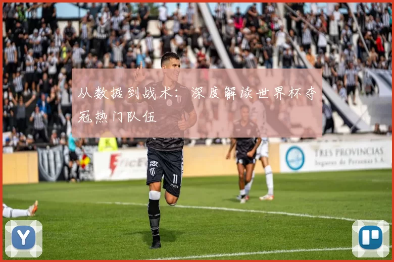 从数据到战术：深度解读世界杯夺冠热门队伍