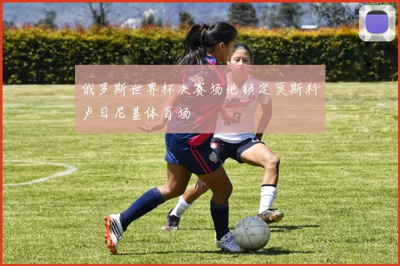 俄罗斯世界杯决赛场地锁定莫斯科卢日尼基体育场